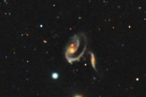 ARP 273