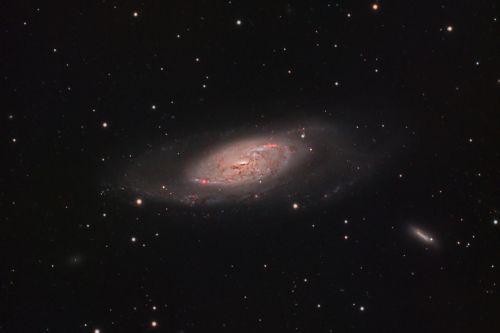 M106