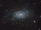 NGC2403