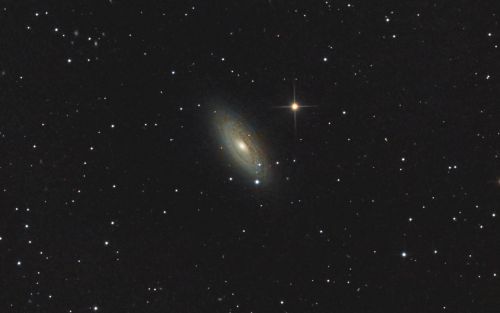 NGC2841 - Tiger's Eye Galaxy