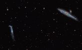 NGC34631 - The Whale Galaxy