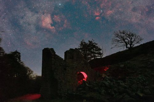 Widefield images