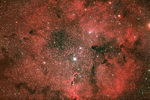 IC1396 - Elephant's Trunk Nebula