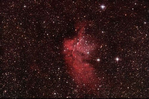NGC7380 - The Wizard Nebula
